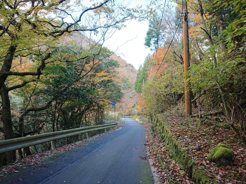 f:id:Margatroid:20190103090812j:plain f:id:Margatroid:20190103090812j:plain