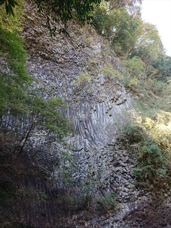 f:id:Margatroid:20190103090821j:plain f:id:Margatroid:20190103090821j:plain