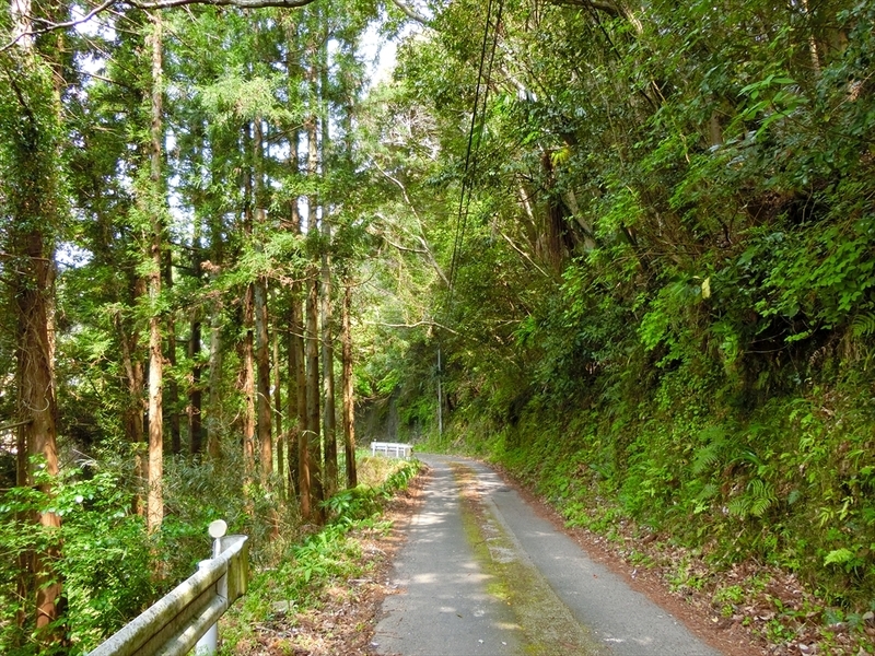 f:id:Margatroid:20190424100022j:plain