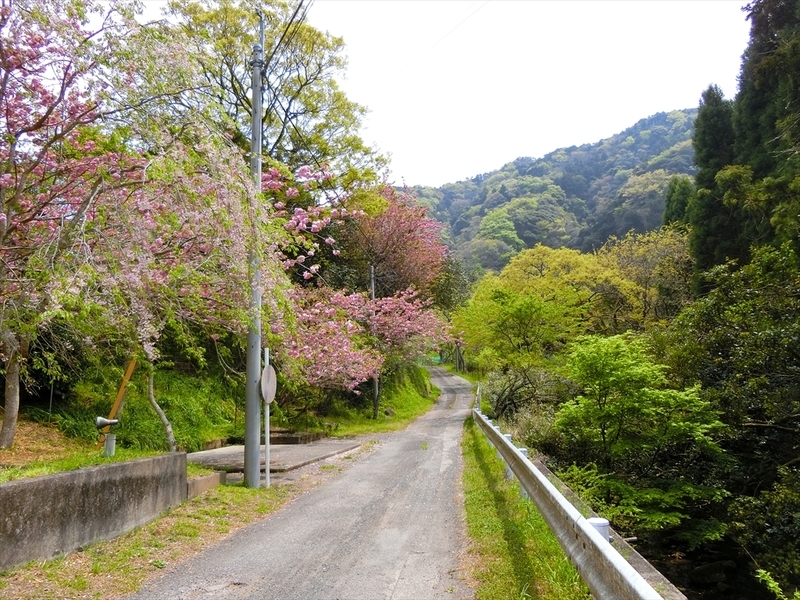 f:id:Margatroid:20190424100023j:plain