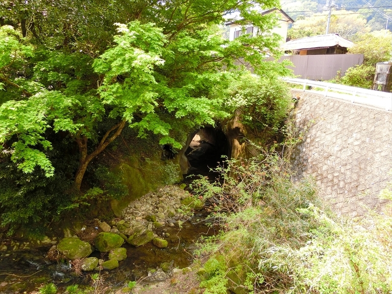 f:id:Margatroid:20190424100025j:plain