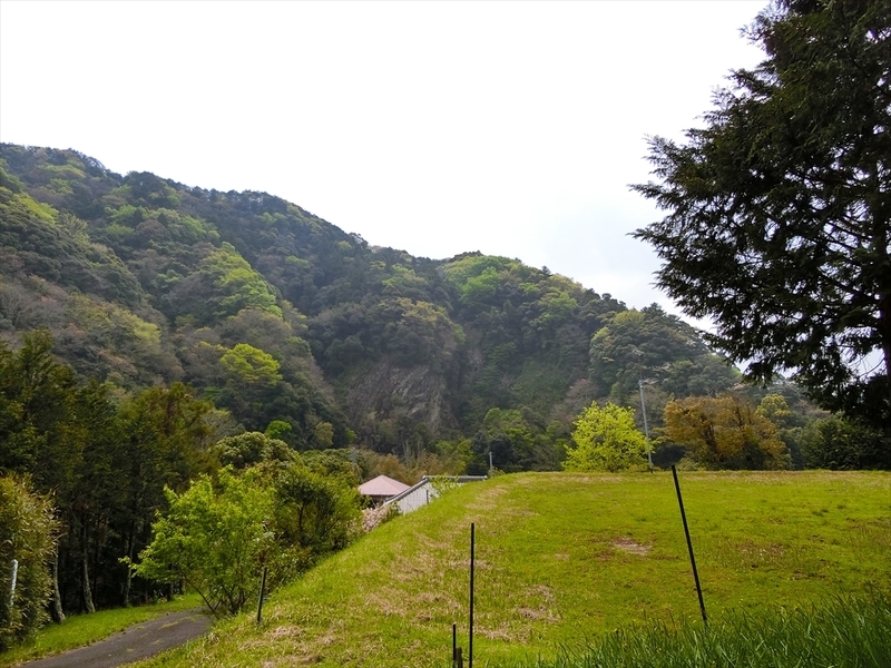 f:id:Margatroid:20190424100028j:plain