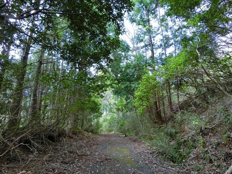 f:id:Margatroid:20190424100029j:plain