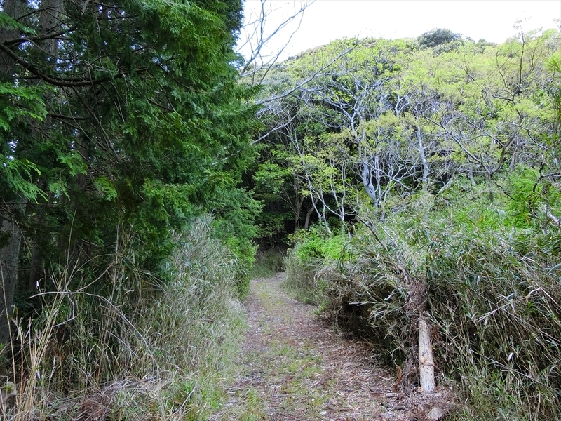 f:id:Margatroid:20190424100030j:plain