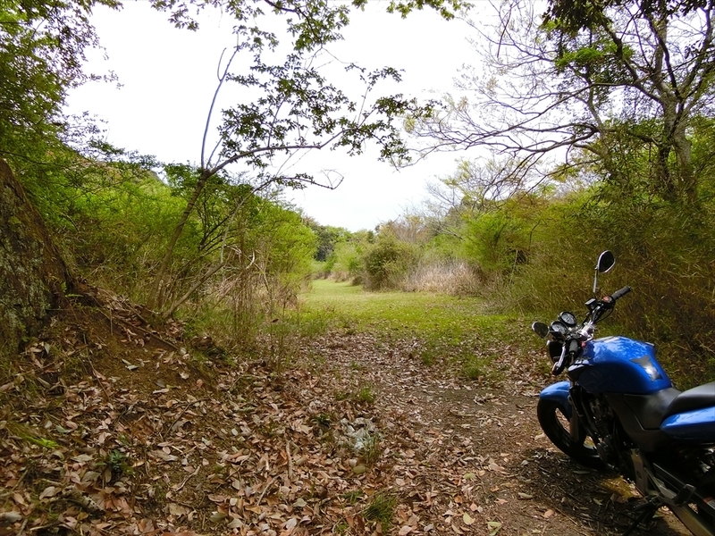 f:id:Margatroid:20190424100031j:plain