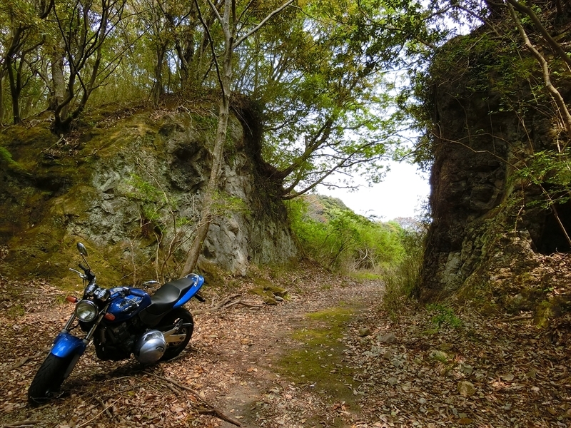 f:id:Margatroid:20190424100032j:plain