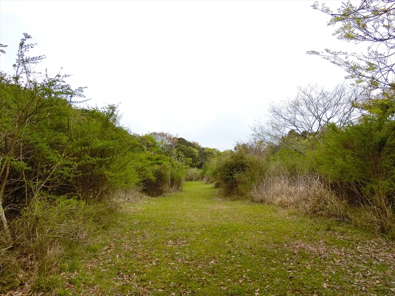 f:id:Margatroid:20190424100034j:plain