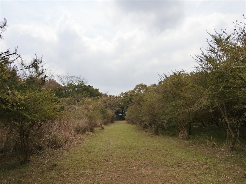 f:id:Margatroid:20190424100035j:plain