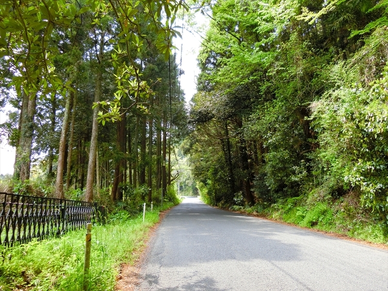 f:id:Margatroid:20190424100040j:plain