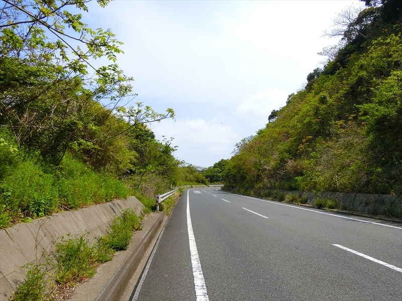 f:id:Margatroid:20190424100045j:plain