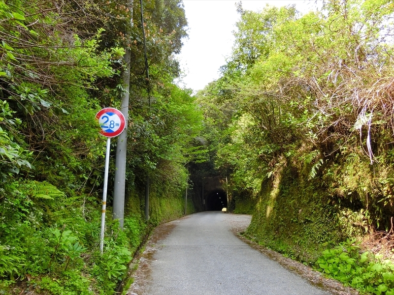 f:id:Margatroid:20190424100051j:plain