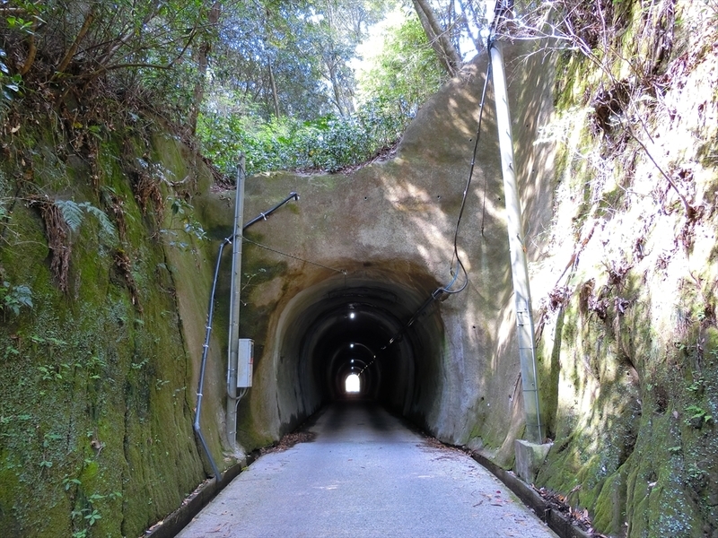 f:id:Margatroid:20190424100052j:plain