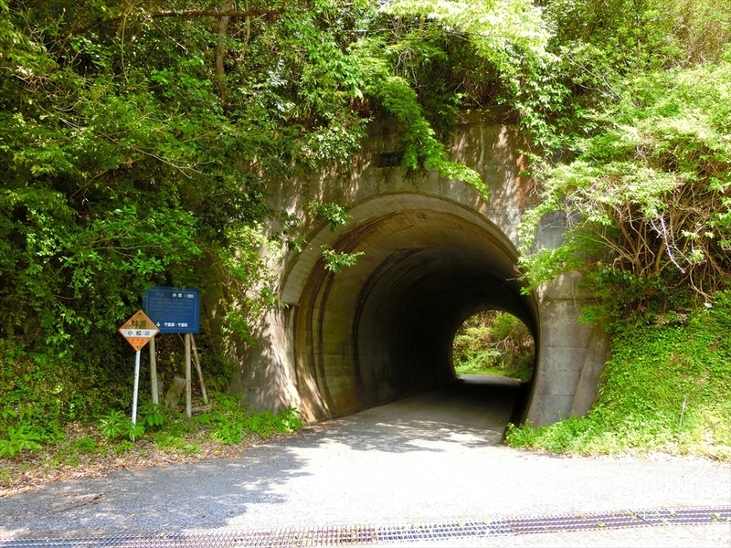 f:id:Margatroid:20190424100054j:plain