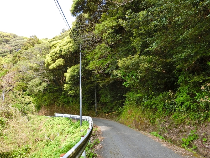 f:id:Margatroid:20190424100055j:plain