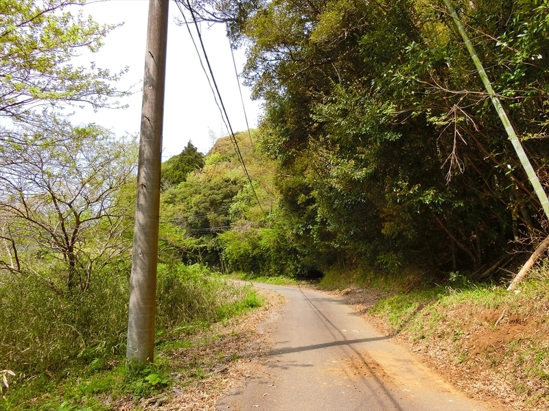 f:id:Margatroid:20190424100056j:plain