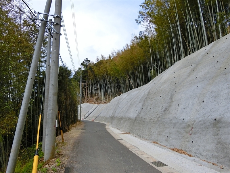 f:id:Margatroid:20190424100057j:plain