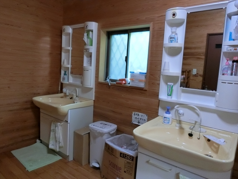 f:id:Margatroid:20190523162912j:plain