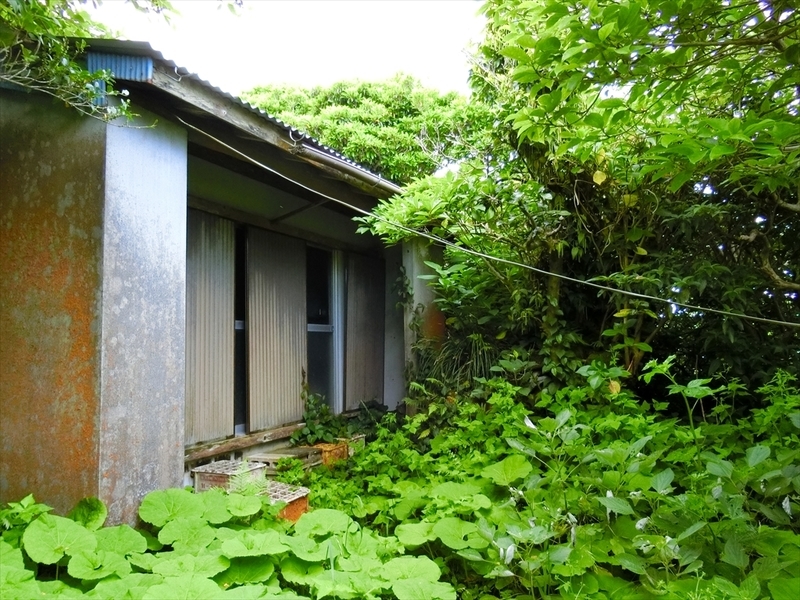 f:id:Margatroid:20190523163013j:plain f:id:Margatroid:20190523163013j:plain