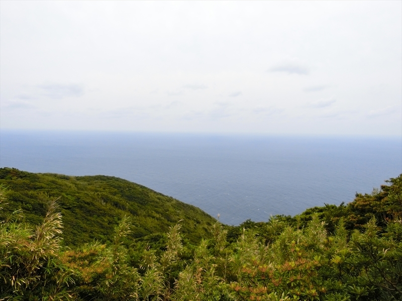 f:id:Margatroid:20190523163039j:plain