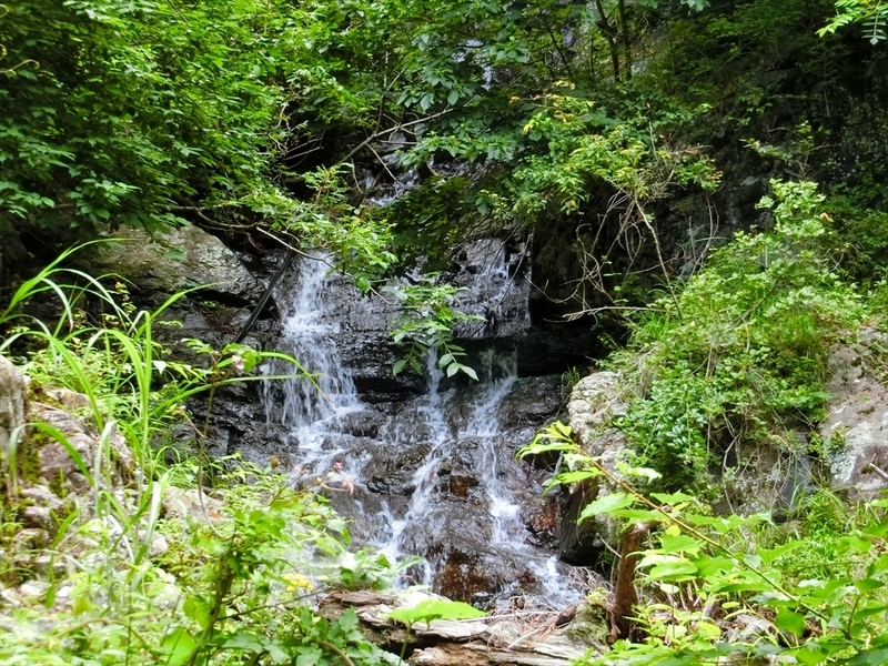 f:id:Margatroid:20190713103614j:plain f:id:Margatroid:20190713103614j:plain