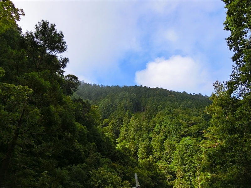 f:id:Margatroid:20190713103624j:plain f:id:Margatroid:20190713103624j:plain