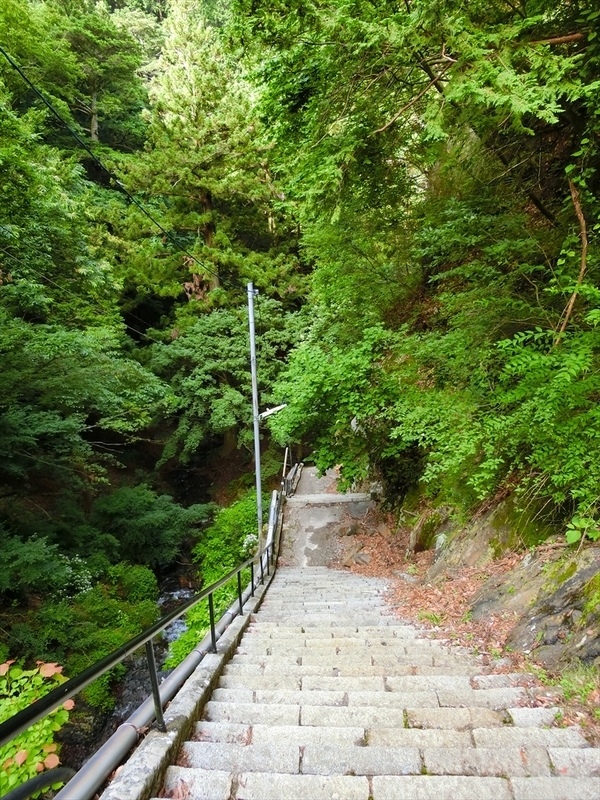 f:id:Margatroid:20190713103628j:plain f:id:Margatroid:20190713103628j:plain