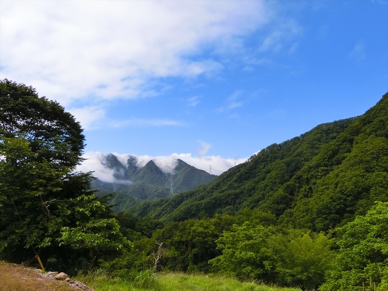 f:id:Margatroid:20190806162047j:plain f:id:Margatroid:20190806162047j:plain