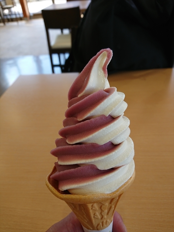f:id:Margatroid:20191107100508j:plain
