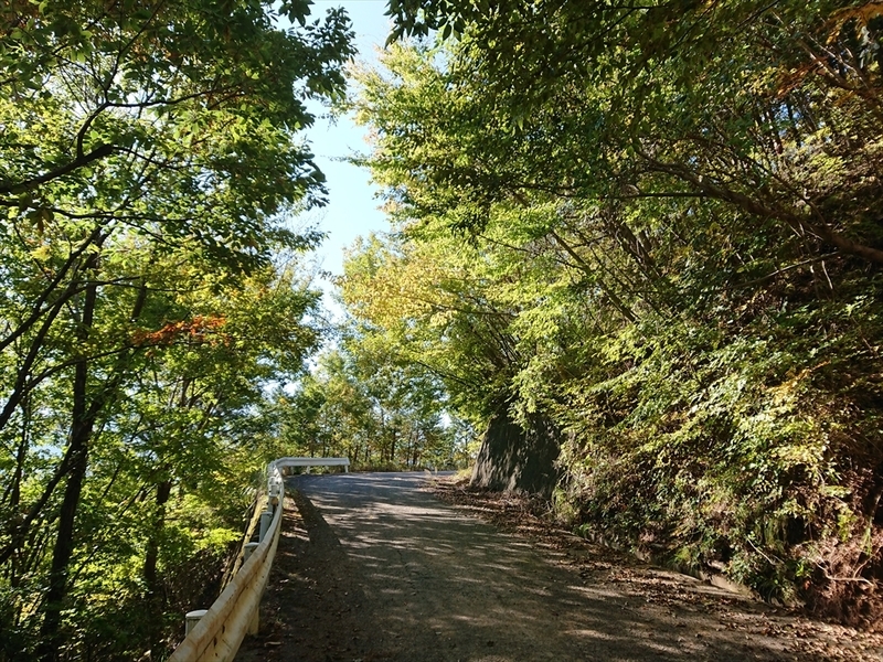 f:id:Margatroid:20191107100538j:plain