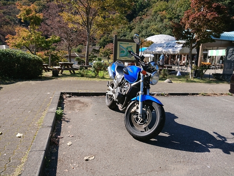 f:id:Margatroid:20191107100600j:plain