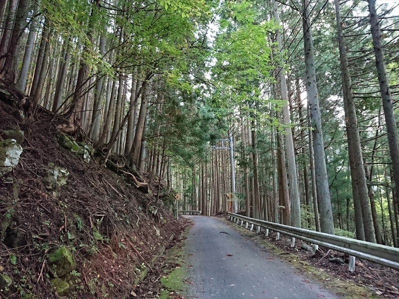 f:id:Margatroid:20191107100648j:plain