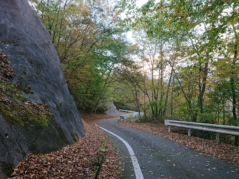 f:id:Margatroid:20191107100652j:plain