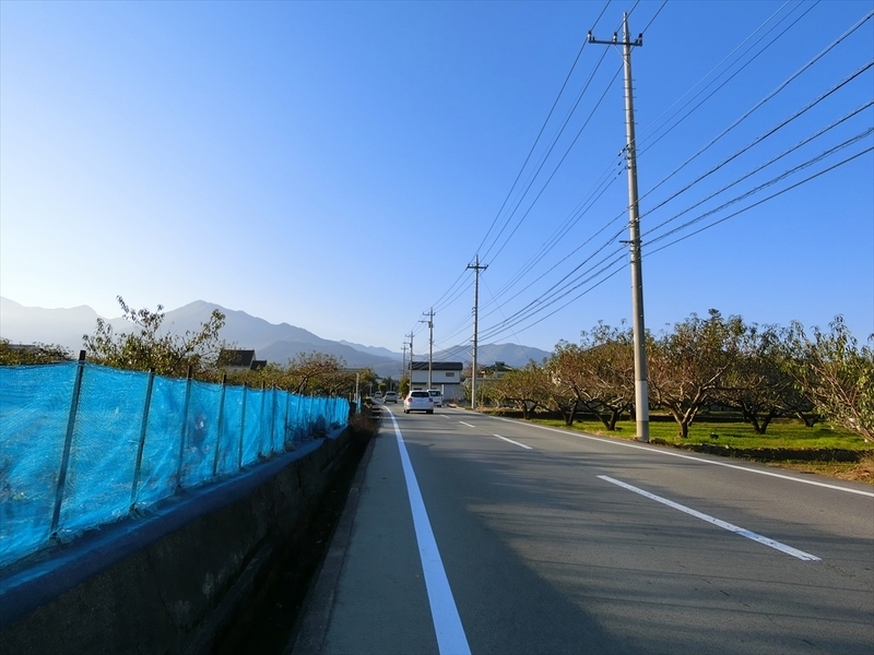 f:id:Margatroid:20191107100811j:plain