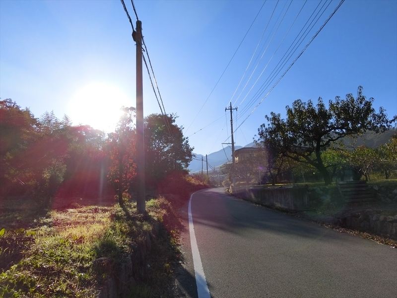 f:id:Margatroid:20191107100842j:plain