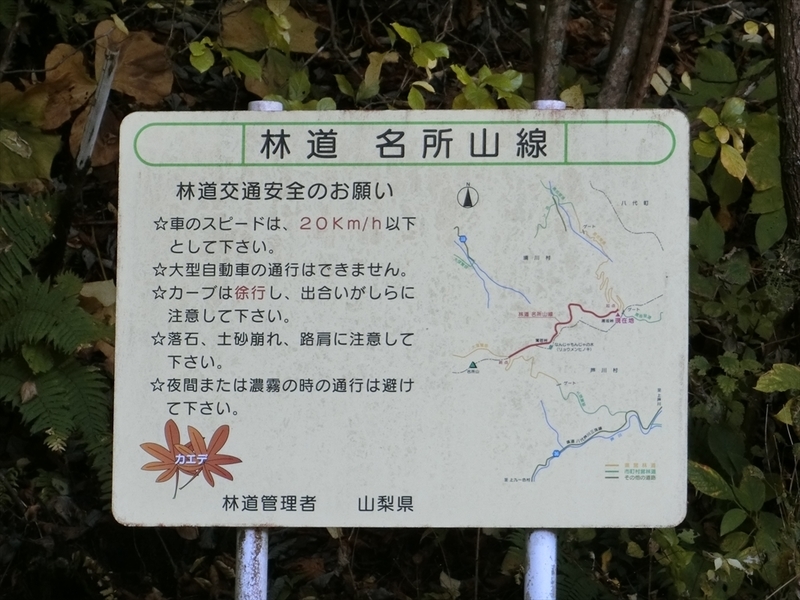 f:id:Margatroid:20191107100957j:plain