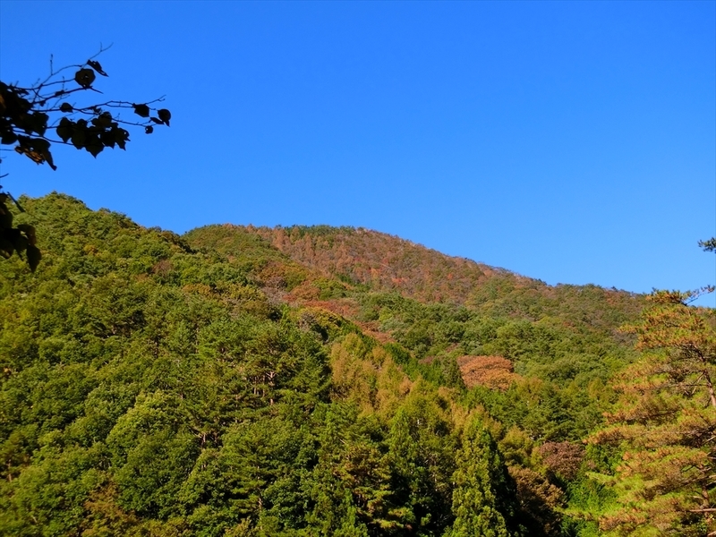 f:id:Margatroid:20191107101153j:plain