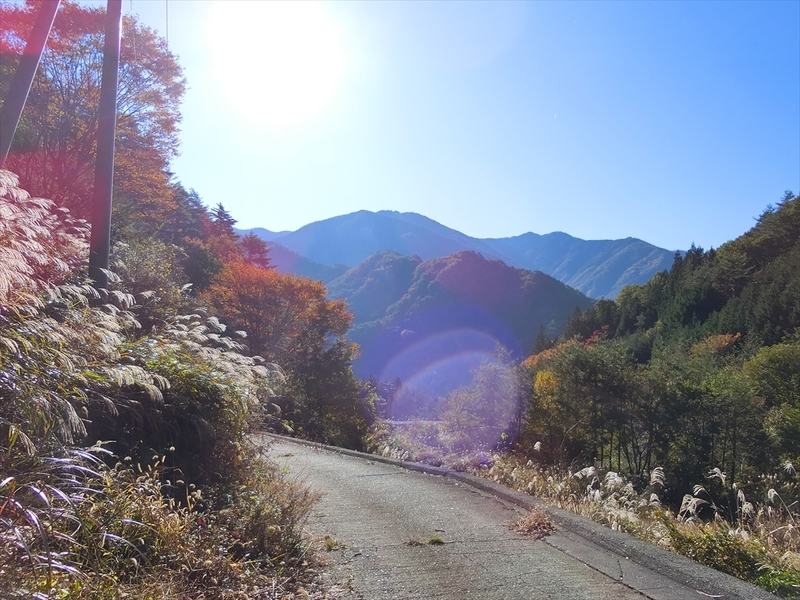 f:id:Margatroid:20191107101158j:plain