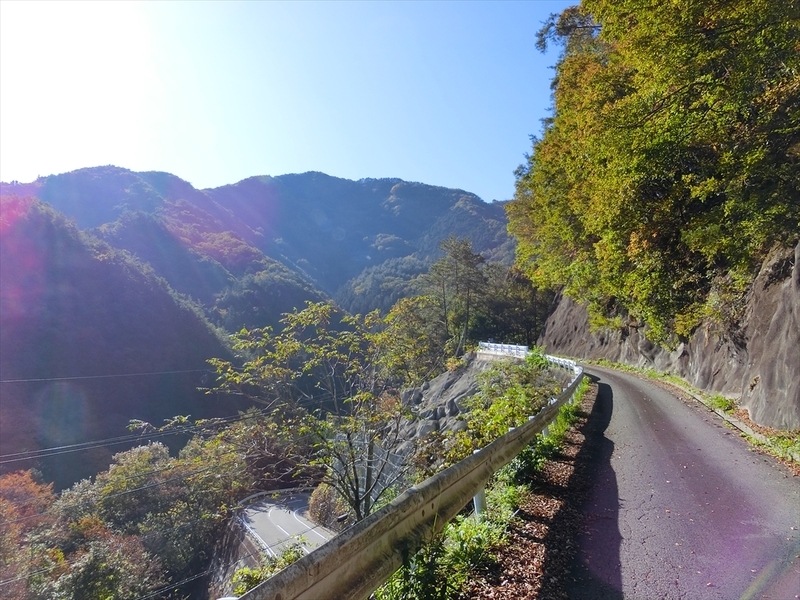 f:id:Margatroid:20191107101256j:plain