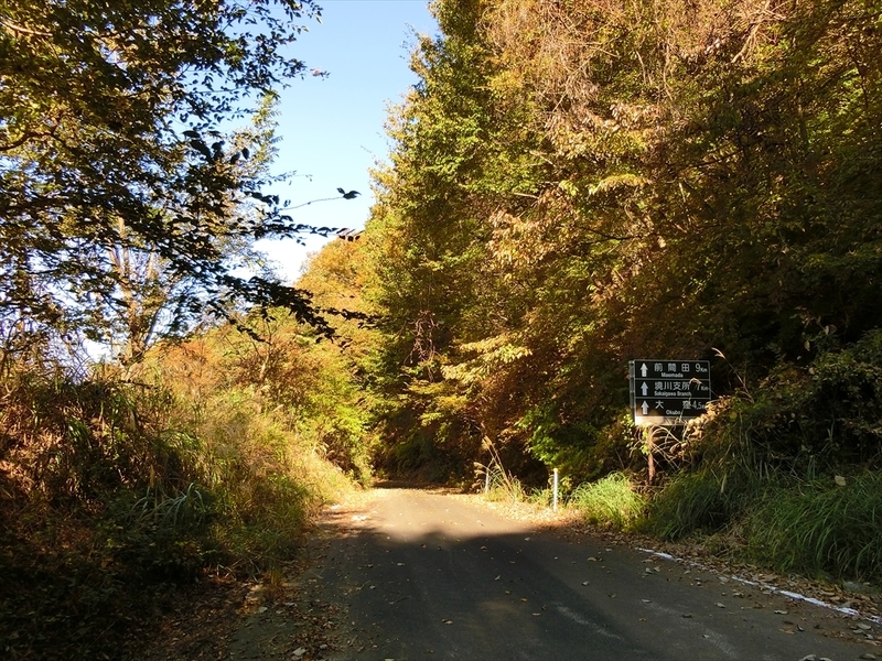f:id:Margatroid:20191107101411j:plain