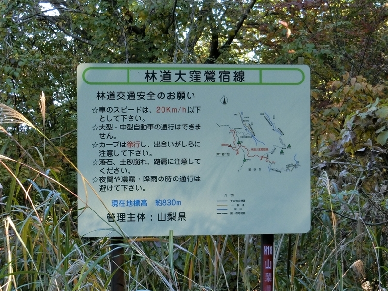 f:id:Margatroid:20191107101423j:plain