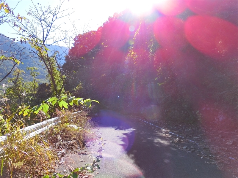 f:id:Margatroid:20191107101438j:plain