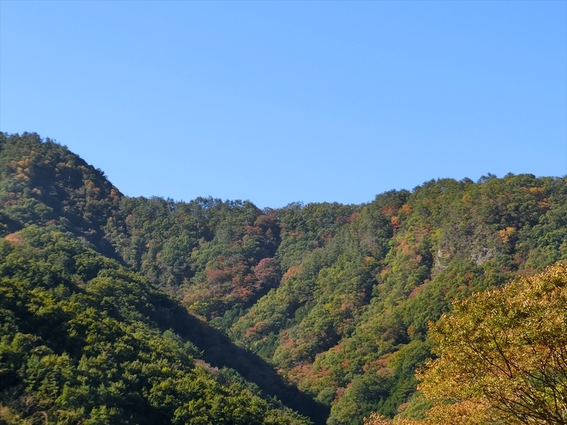 f:id:Margatroid:20191107101542j:plain