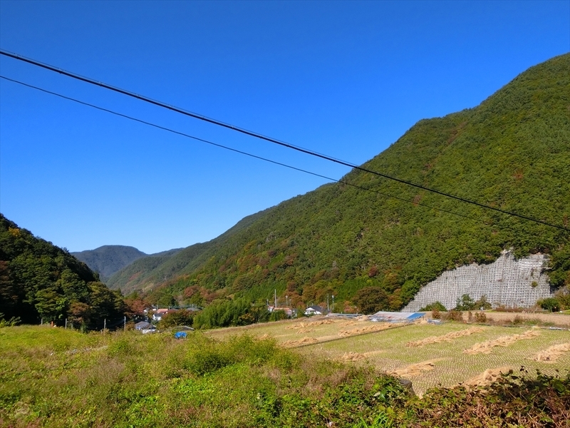 f:id:Margatroid:20191107101610j:plain