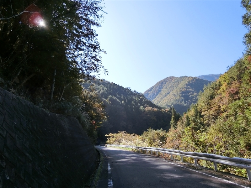 f:id:Margatroid:20191107101615j:plain