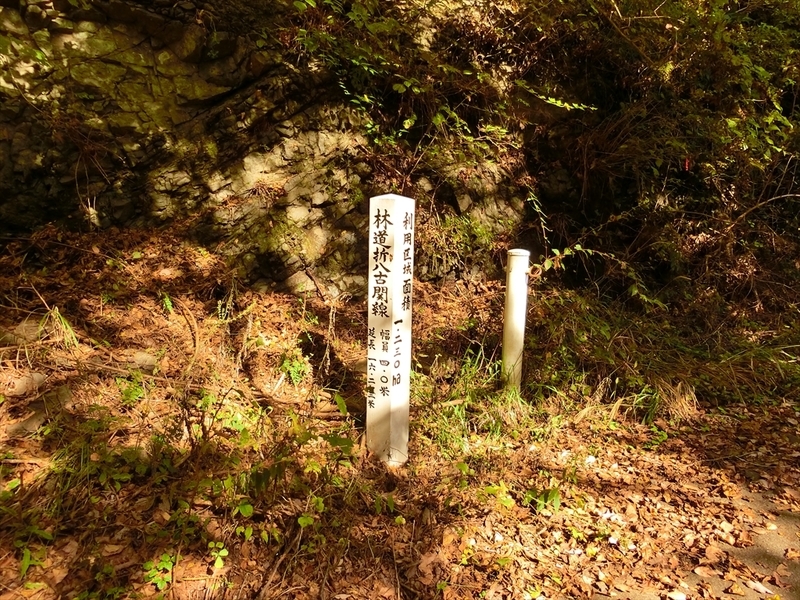 f:id:Margatroid:20191107101626j:plain