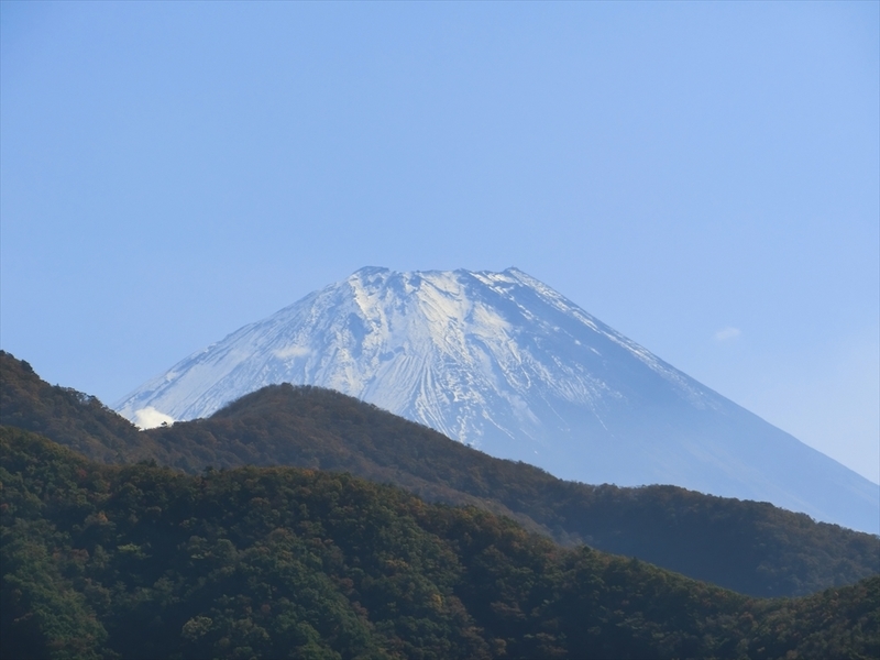 f:id:Margatroid:20191107101735j:plain