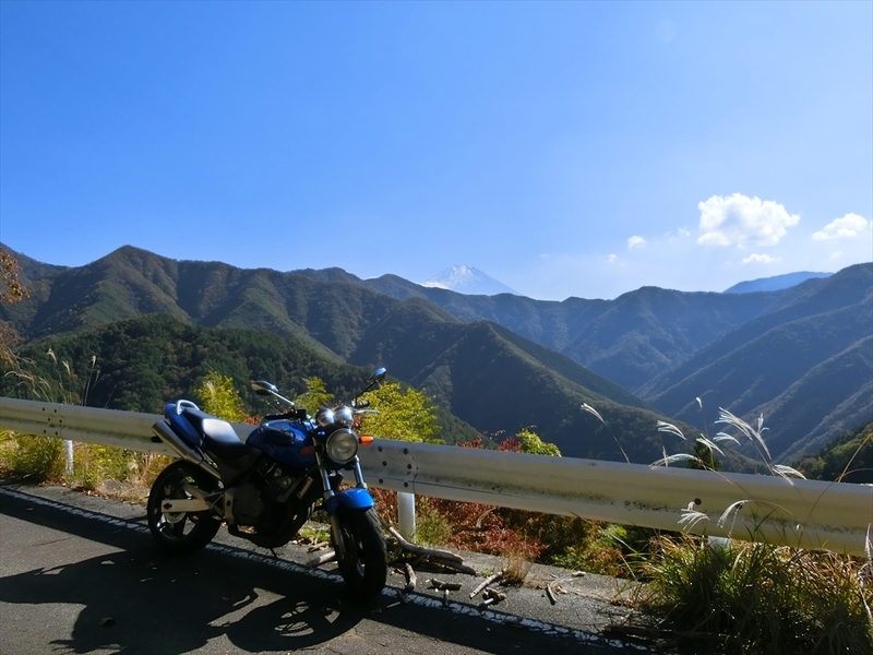 f:id:Margatroid:20191107101746j:plain