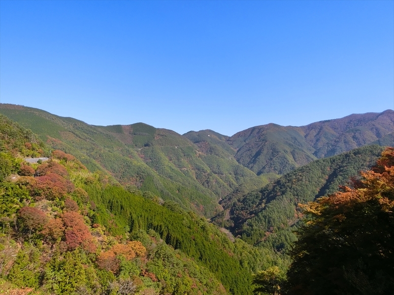 f:id:Margatroid:20191107101809j:plain