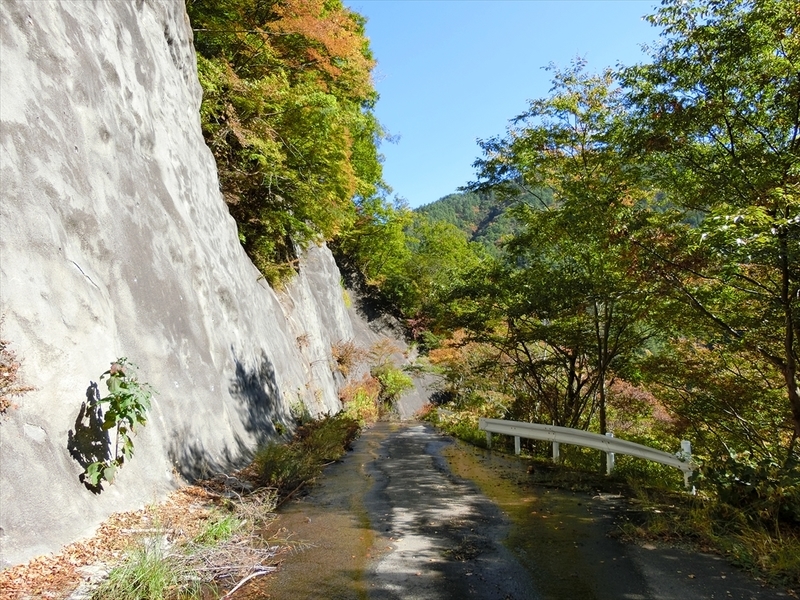 f:id:Margatroid:20191107101826j:plain