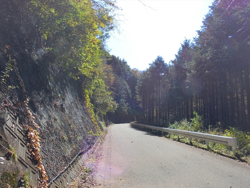 f:id:Margatroid:20191107101848j:plain